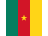 Kamerun flag