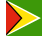 Гайана flag