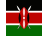 Kenya flag
